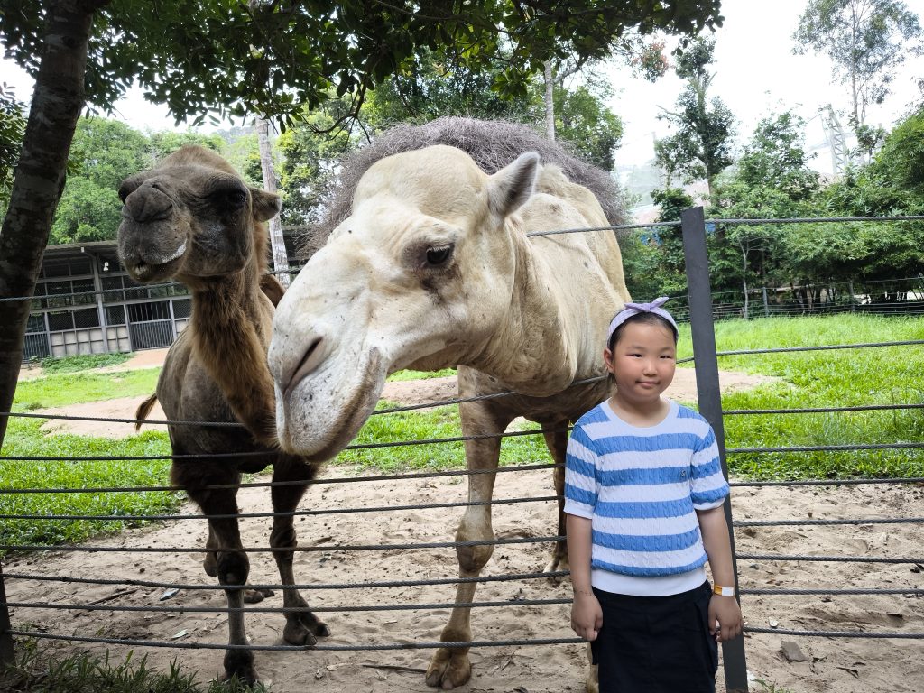 【富國島 Safari 全攻略】與長頸鹿用餐、環尾狐猴零距離接觸!一場震撼感官的叢林冒險 @去旅行新聞網 【富國島 Safari 全攻略】與長頸鹿用餐、環尾狐猴零距離接觸!一場震撼感官的叢林冒險 @去旅行新聞網