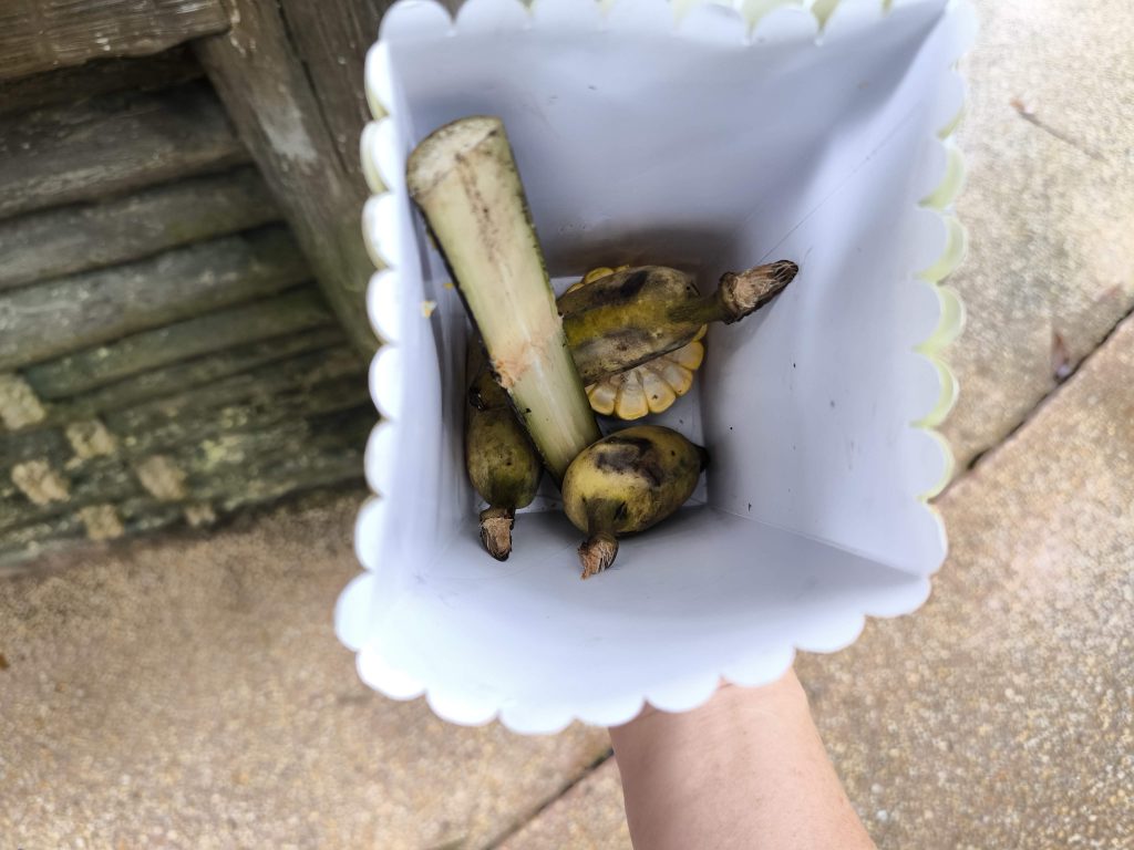 【富國島 Safari 全攻略】與長頸鹿用餐、環尾狐猴零距離接觸!一場震撼感官的叢林冒險 @去旅行新聞網 【富國島 Safari 全攻略】與長頸鹿用餐、環尾狐猴零距離接觸!一場震撼感官的叢林冒險 @去旅行新聞網