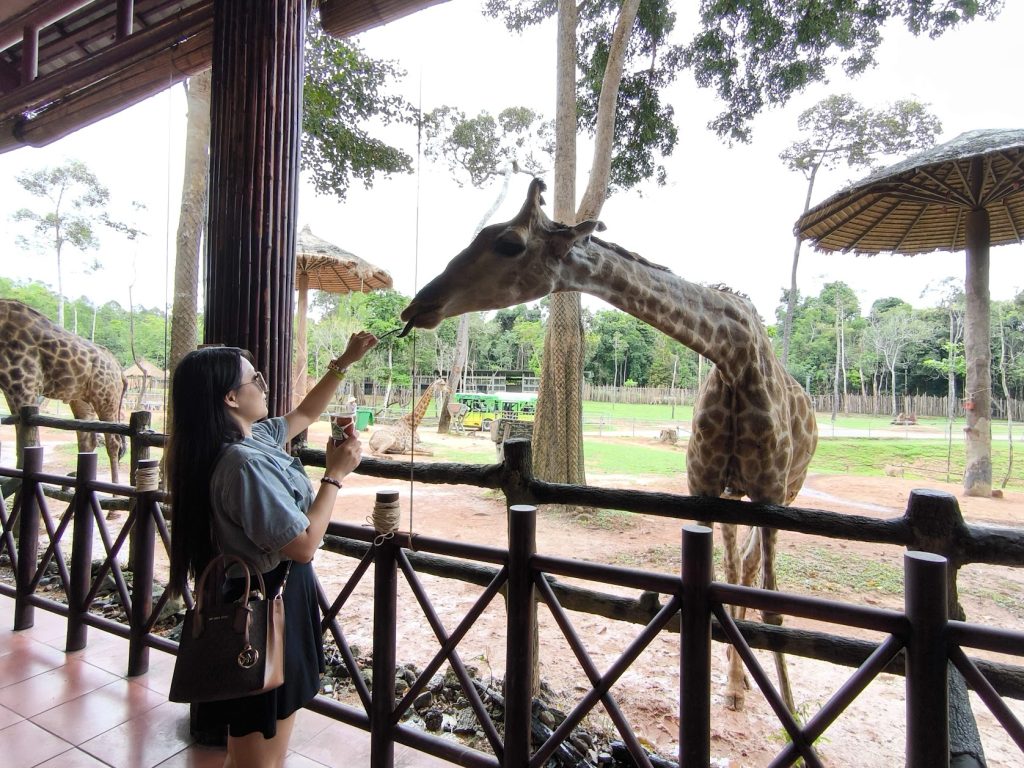 富國島全攻略:越南免簽度假天堂,從絕美跳島、世界纜車到百年魚露與國軍孤軍的歷史足跡 @去旅行新聞網 富國島全攻略:越南免簽度假天堂,從絕美跳島、世界纜車到百年魚露與國軍孤軍的歷史足跡 @去旅行新聞網