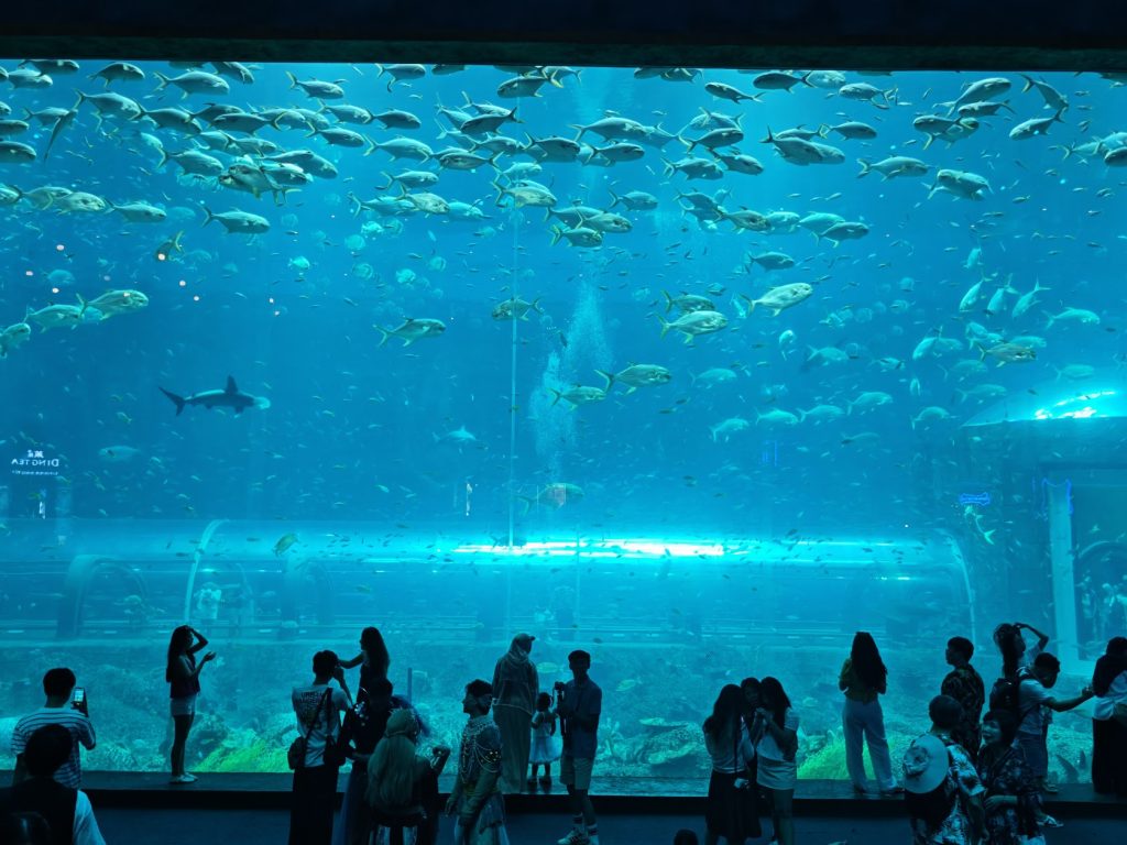 【富國島】在深海許下承諾!珍珠樂園海龜水族館:牽手走過夢幻海底隧道、共賞美人魚的浪漫時刻 @去旅行新聞網 【富國島】在深海許下承諾!珍珠樂園海龜水族館:牽手走過夢幻海底隧道、共賞美人魚的浪漫時刻 @去旅行新聞網