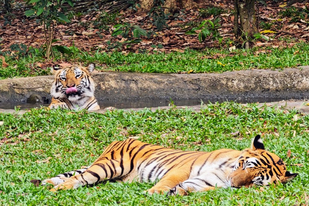 【越南沙壩住宿推薦】雲霧山城的 10 間夢幻飯店！景觀、奢華、高 CP 值全攻略 @去旅行新聞網