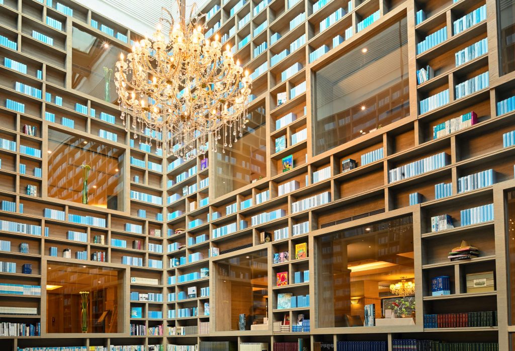 伊豆半島河津櫻綻放  228連假衝一波賞櫻去！ @去旅行新聞網