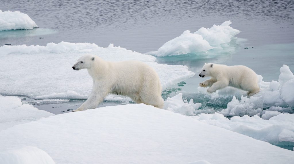 Super北極點90度!龐洛指揮官夏古號,唯一破冰航行世界之巔,解鎖海冰步行初體驗 Super北極點90度!龐洛指揮官夏古號,唯一破冰航行世界之巔,解鎖海冰步行初體驗 @去旅行新聞網