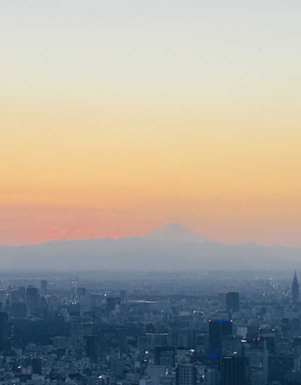 東京必訪天際線:在世界第一高塔「東京晴空塔」漫步雲端,體驗極致視覺盛宴 @去旅行新聞網 東京必訪天際線:在世界第一高塔「東京晴空塔」漫步雲端,體驗極致視覺盛宴 @去旅行新聞網