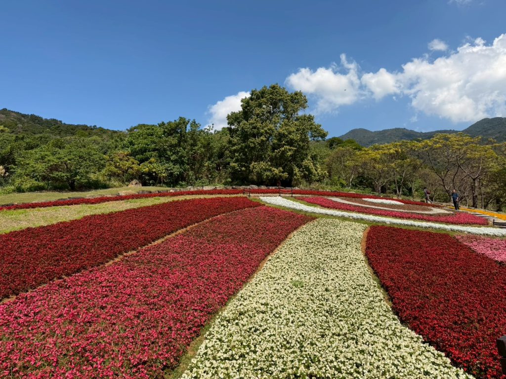 【2026賞花地圖】北投三層崎花海夢幻爆發!「台版富良野」彩虹花毯美翻天,IG打卡、交通攻略一次看 @去旅行新聞網 【2026賞花地圖】北投三層崎花海夢幻爆發!「台版富良野」彩虹花毯美翻天,IG打卡、交通攻略一次看 @去旅行新聞網