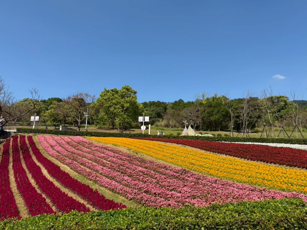 【2026賞花地圖】北投三層崎花海夢幻爆發!「台版富良野」彩虹花毯美翻天,IG打卡、交通攻略一次看 【2026賞花地圖】北投三層崎花海夢幻爆發!「台版富良野」彩虹花毯美翻天,IG打卡、交通攻略一次看 @去旅行新聞網