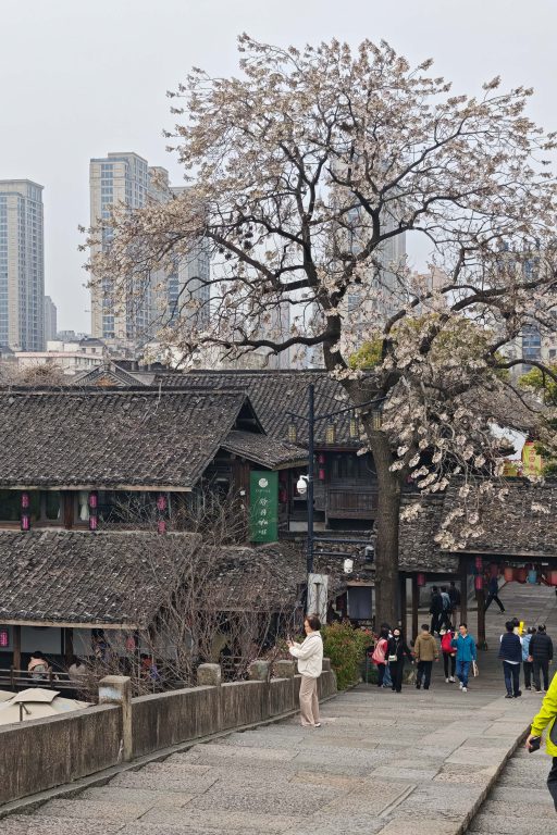 杭州拱宸橋|花季限定!京杭大運河最美江南詩意等你來! 杭州拱宸橋|花季限定!京杭大運河最美江南詩意等你來! @去旅行新聞網