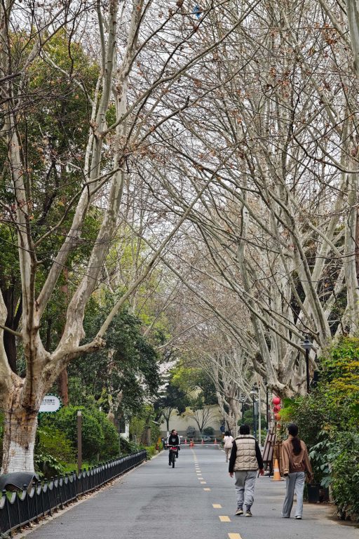 杭州拱宸橋|花季限定!京杭大運河最美江南詩意等你來! 杭州拱宸橋|花季限定!京杭大運河最美江南詩意等你來! @去旅行新聞網