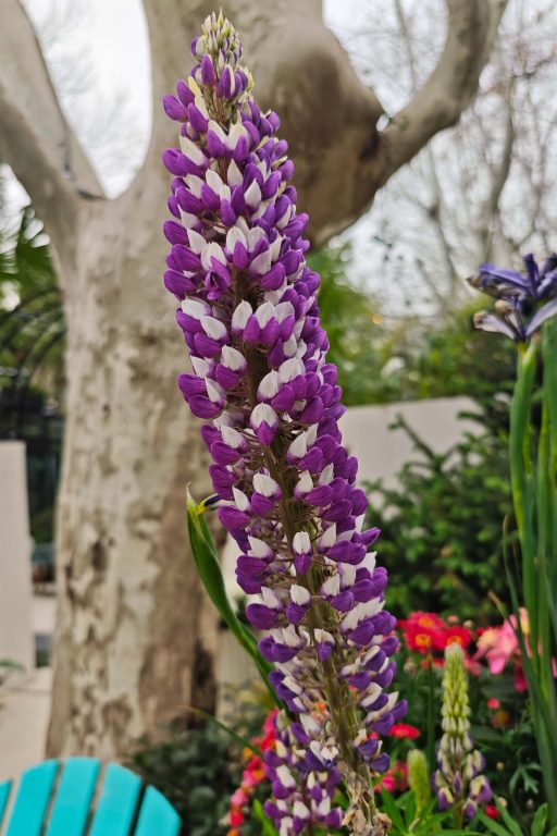 杭州拱宸橋|花季限定!京杭大運河最美江南詩意等你來! 杭州拱宸橋|花季限定!京杭大運河最美江南詩意等你來! @去旅行新聞網