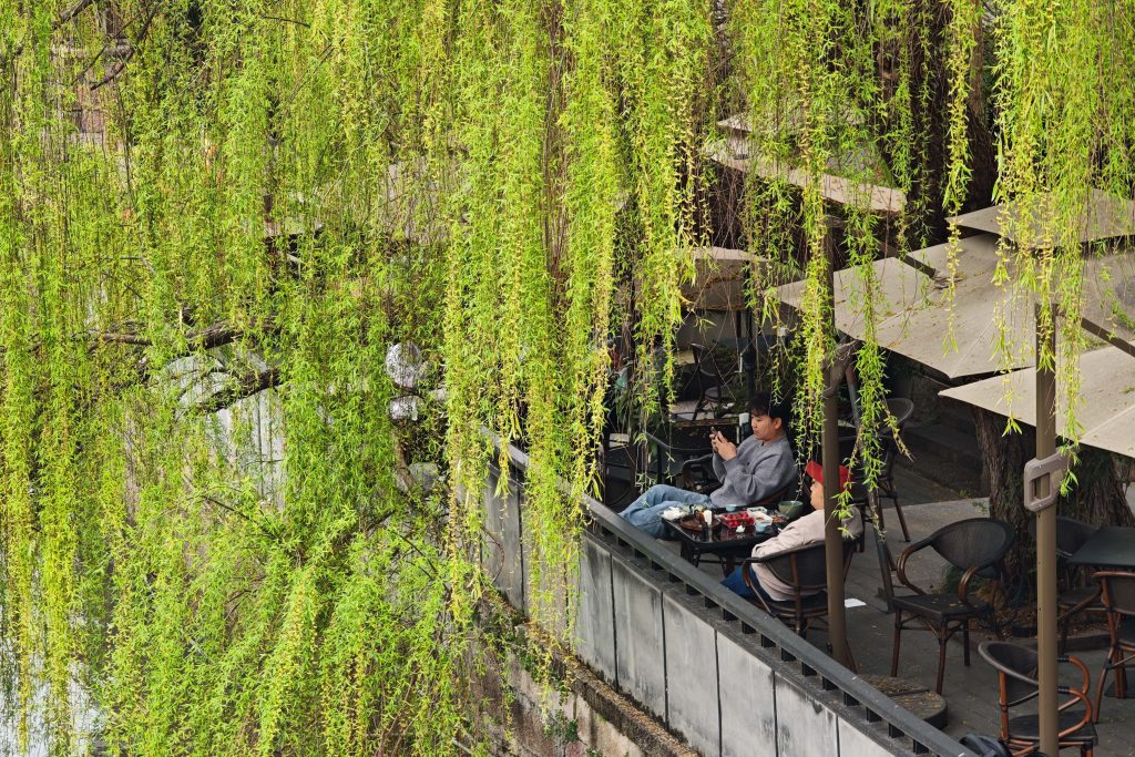 杭州拱宸橋|花季限定!京杭大運河最美江南詩意等你來! 杭州拱宸橋|花季限定!京杭大運河最美江南詩意等你來! @去旅行新聞網