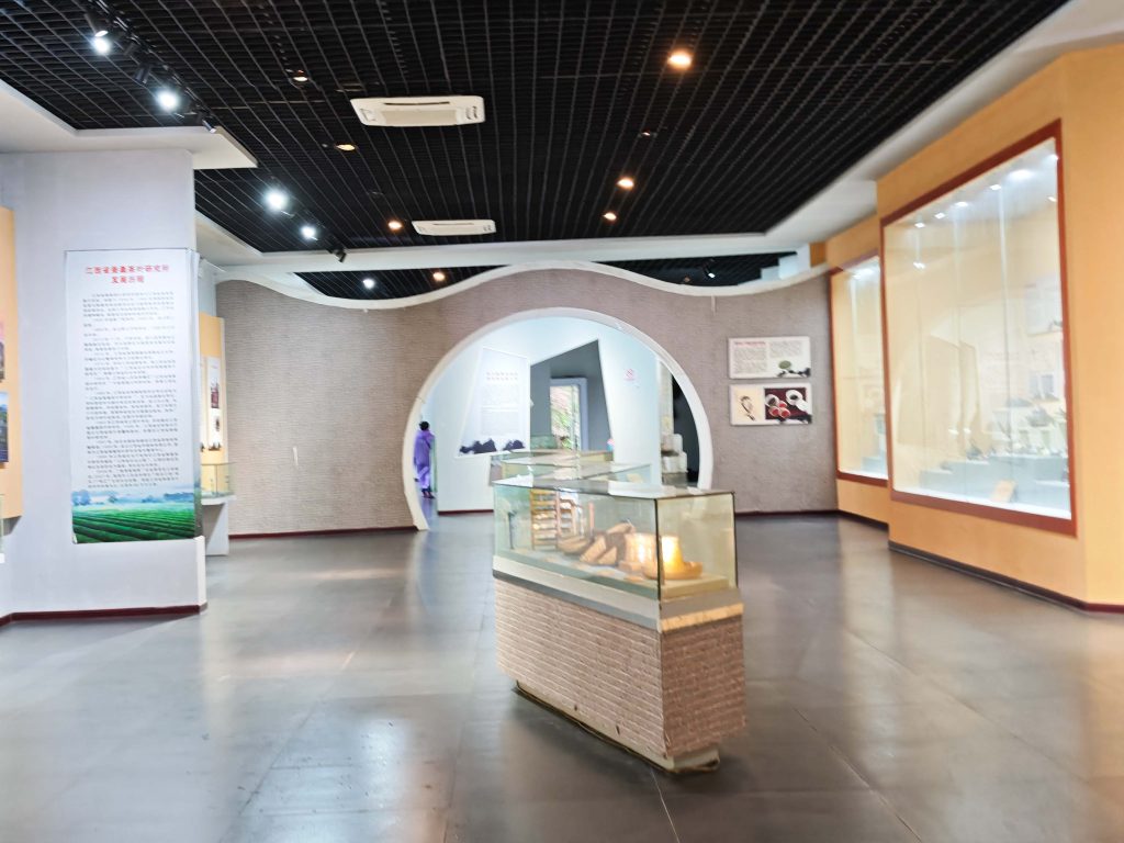 南昌鳳凰溝 春雨微醺,鬱金香x茶園x木蓮花,遇見詩意江西 南昌鳳凰溝 春雨微醺,鬱金香x茶園x木蓮花,遇見詩意江西 @去旅行新聞網