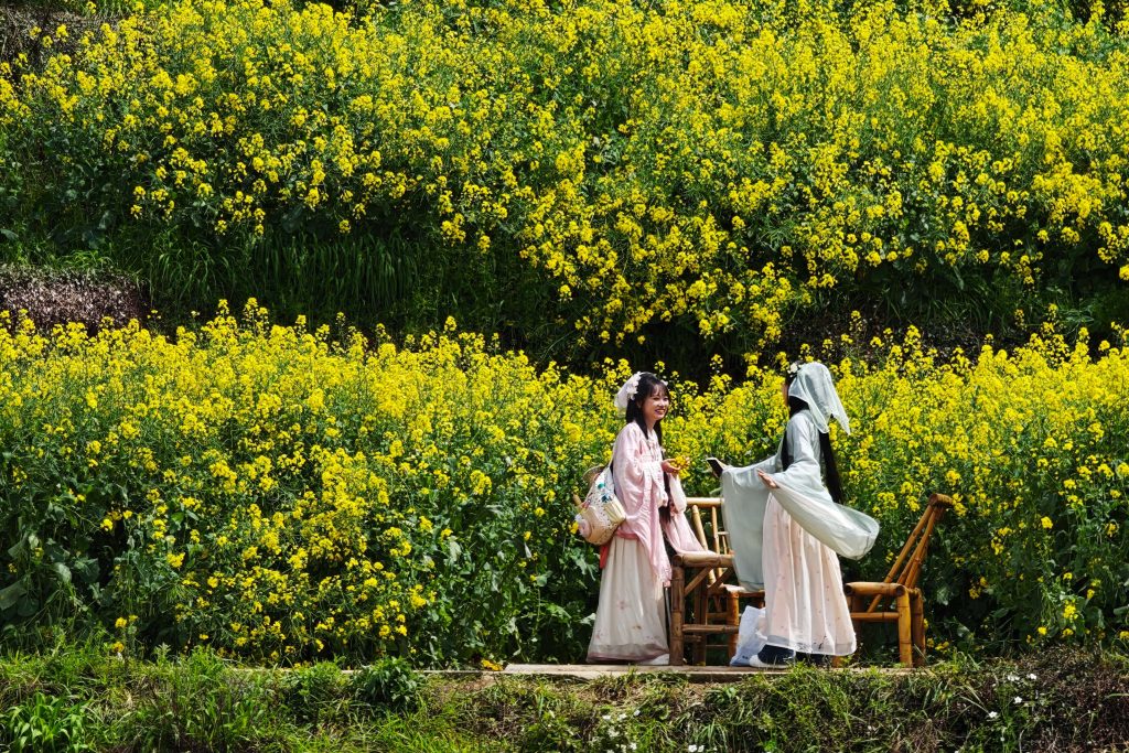 婺源篁嶺油菜花攻略:中國最美梯田花海X徽派古村秘境,3月必訪春日仙境! 婺源篁嶺油菜花攻略:中國最美梯田花海X徽派古村秘境,3月必訪春日仙境! @去旅行新聞網