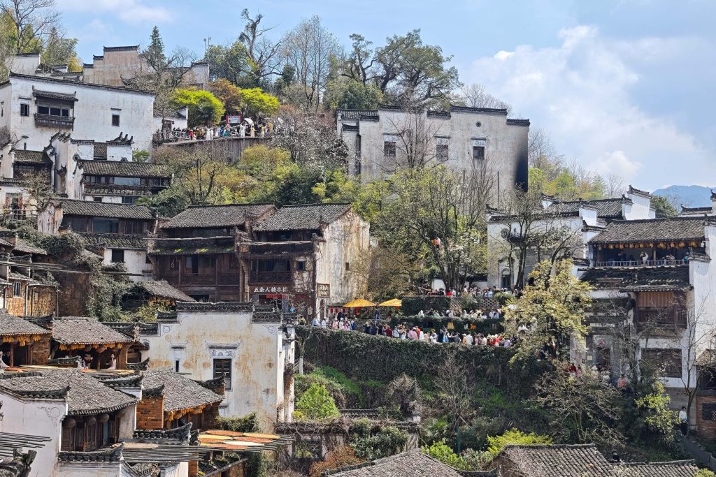 婺源篁嶺油菜花攻略:中國最美梯田花海X徽派古村秘境,3月必訪春日仙境! 婺源篁嶺油菜花攻略:中國最美梯田花海X徽派古村秘境,3月必訪春日仙境! @去旅行新聞網