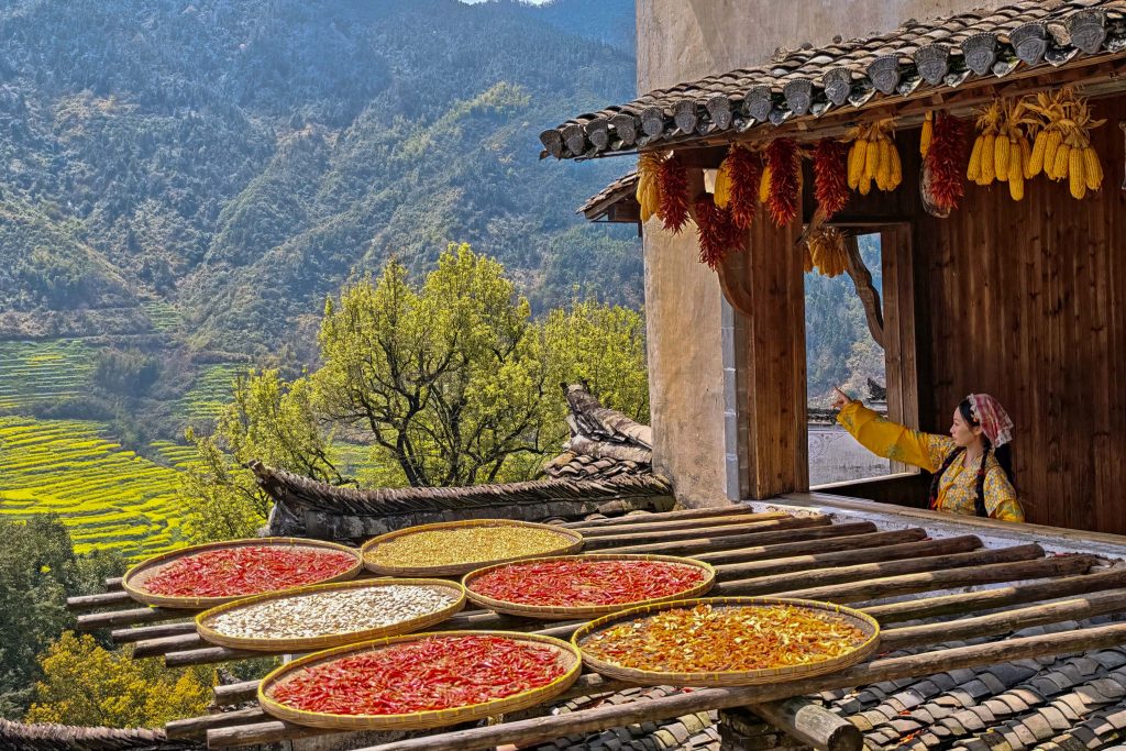 縱谷櫻花杜鵑盛開 春遊荖山賞花秘境 @去旅行新聞網