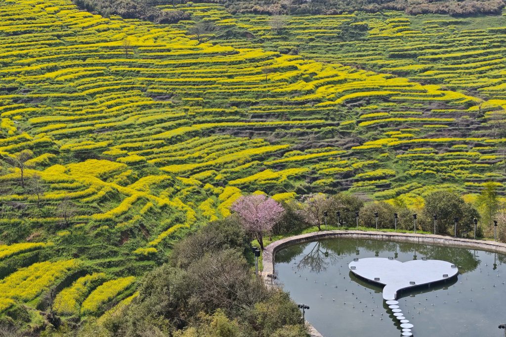 婺源篁嶺油菜花攻略:中國最美梯田花海X徽派古村秘境,3月必訪春日仙境! 婺源篁嶺油菜花攻略:中國最美梯田花海X徽派古村秘境,3月必訪春日仙境! @去旅行新聞網