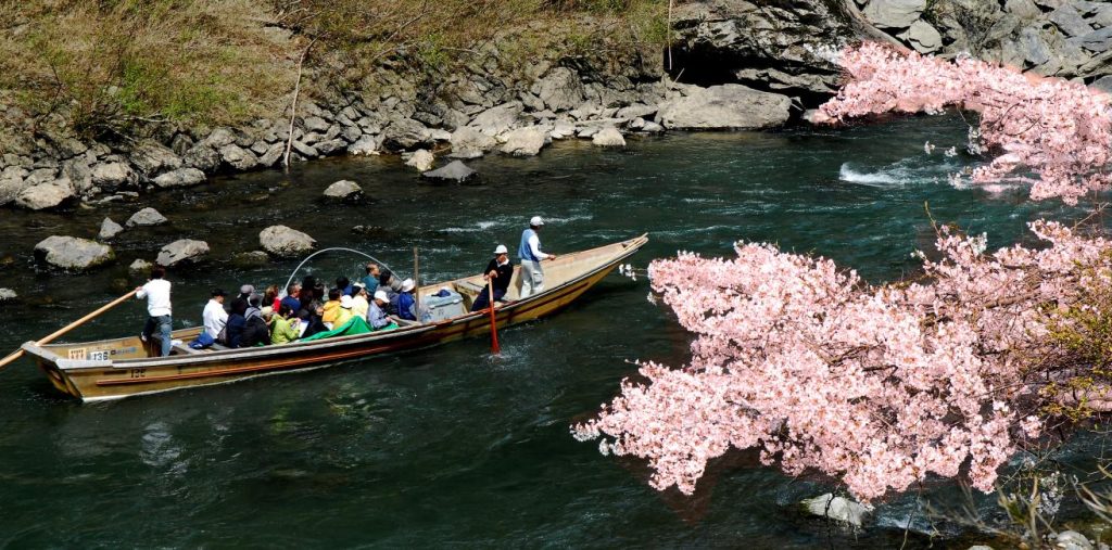 【2024春季旅遊攻略】晚櫻、祭典、海芋季全包!KKday生日慶萬元優惠搶先看! 【2024春季旅遊攻略】晚櫻、祭典、海芋季全包!KKday生日慶萬元優惠搶先看! @去旅行新聞網