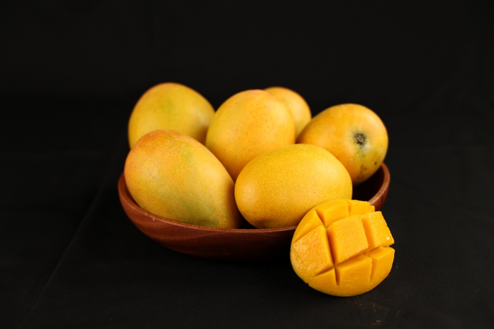 2023宜蘭落羽松秘境三層坪農塘預約攻略 @去旅行新聞網