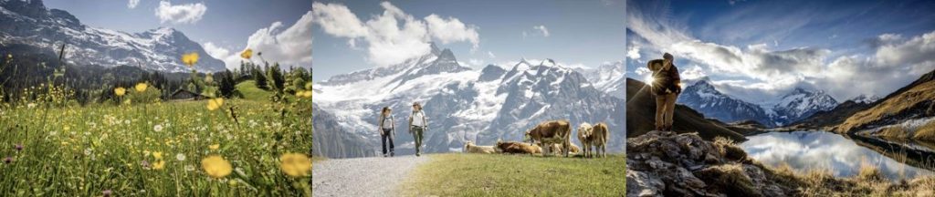 台灣旅客2025年赴瑞士過夜旅遊近26萬人次 鎖定中高端客群!少女峰地區絕美童話小鎮「格林德瓦」搶攻台灣市場 台灣旅客2025年赴瑞士過夜旅遊近26萬人次 鎖定中高端客群!少女峰地區絕美童話小鎮「格林德瓦」搶攻台灣市場 @去旅行新聞網