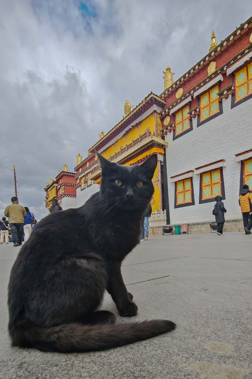 深度探索雲南香格里拉必去景點:噶丹·松贊林寺建築、歷史與朝聖攻略 深度探索雲南香格里拉必去景點:噶丹·松贊林寺建築、歷史與朝聖攻略 @去旅行新聞網