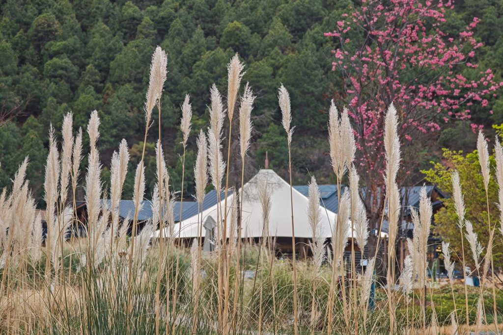 瀘沽湖英迪格酒店開箱:摩梭女兒國的現代隱世奢華體驗,格姆女神山腳下的文化沉浸之旅 瀘沽湖英迪格酒店開箱:摩梭女兒國的現代隱世奢華體驗,格姆女神山腳下的文化沉浸之旅 @去旅行新聞網