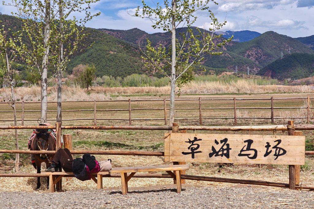 走進瀘沽湖女兒國:從金沙江第一灣到情人橋,深度體驗摩梭人的愛情與生活 走進瀘沽湖女兒國:從金沙江第一灣到情人橋,深度體驗摩梭人的愛情與生活 @去旅行新聞網