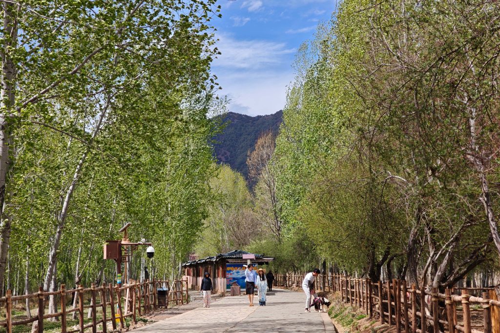 走進瀘沽湖女兒國:從金沙江第一灣到情人橋,深度體驗摩梭人的愛情與生活 走進瀘沽湖女兒國:從金沙江第一灣到情人橋,深度體驗摩梭人的愛情與生活 @去旅行新聞網