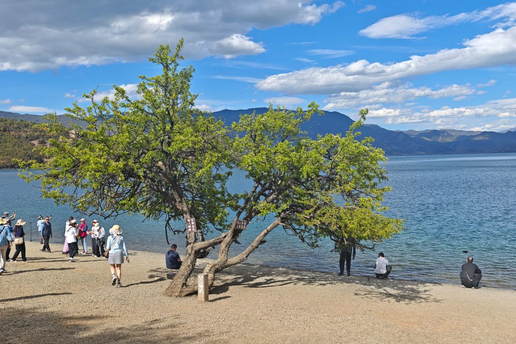 走進瀘沽湖女兒國:從金沙江第一灣到情人橋,深度體驗摩梭人的愛情與生活 走進瀘沽湖女兒國:從金沙江第一灣到情人橋,深度體驗摩梭人的愛情與生活 @去旅行新聞網
