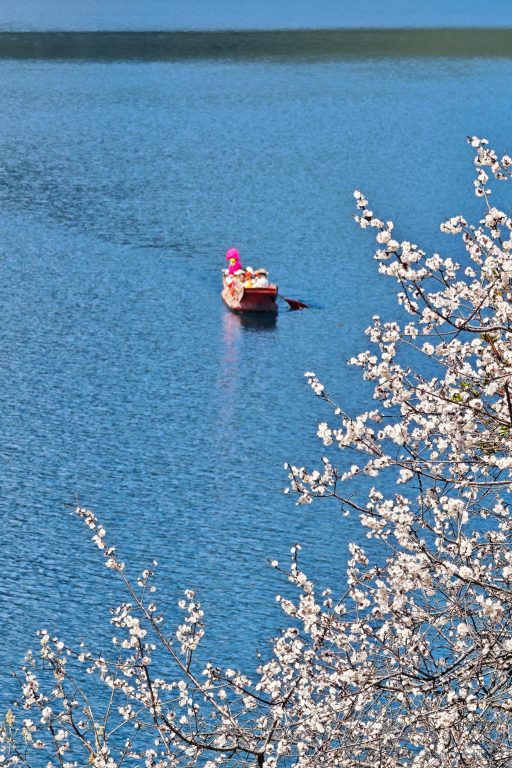瀘沽湖豬槽船|與海鷗、女神山、夫妻樹的晨光悄悄話:一趟浪漫走婚文化的深度體驗 瀘沽湖豬槽船|與海鷗、女神山、夫妻樹的晨光悄悄話:一趟浪漫走婚文化的深度體驗 @去旅行新聞網