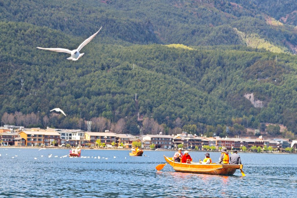 瀘沽湖豬槽船|與海鷗、女神山、夫妻樹的晨光悄悄話:一趟浪漫走婚文化的深度體驗 瀘沽湖豬槽船|與海鷗、女神山、夫妻樹的晨光悄悄話:一趟浪漫走婚文化的深度體驗 @去旅行新聞網