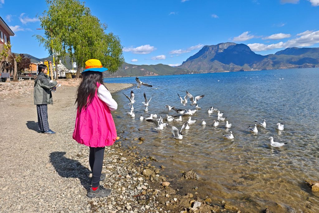 瀘沽湖豬槽船|與海鷗、女神山、夫妻樹的晨光悄悄話:一趟浪漫走婚文化的深度體驗 瀘沽湖豬槽船|與海鷗、女神山、夫妻樹的晨光悄悄話:一趟浪漫走婚文化的深度體驗 @去旅行新聞網
