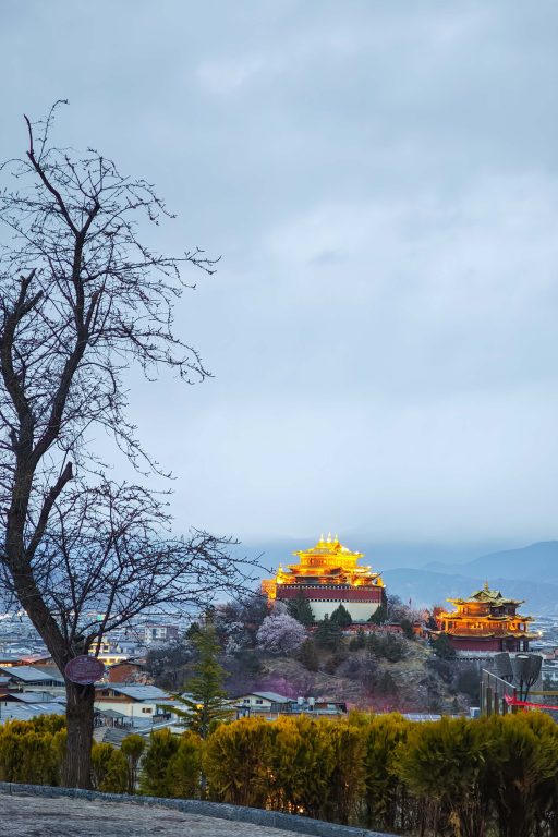 香格里拉迪慶月光城英迪格酒店開箱:住進月光之城,俯瞰千年獨克宗 香格里拉迪慶月光城英迪格酒店開箱:住進月光之城,俯瞰千年獨克宗 @去旅行新聞網