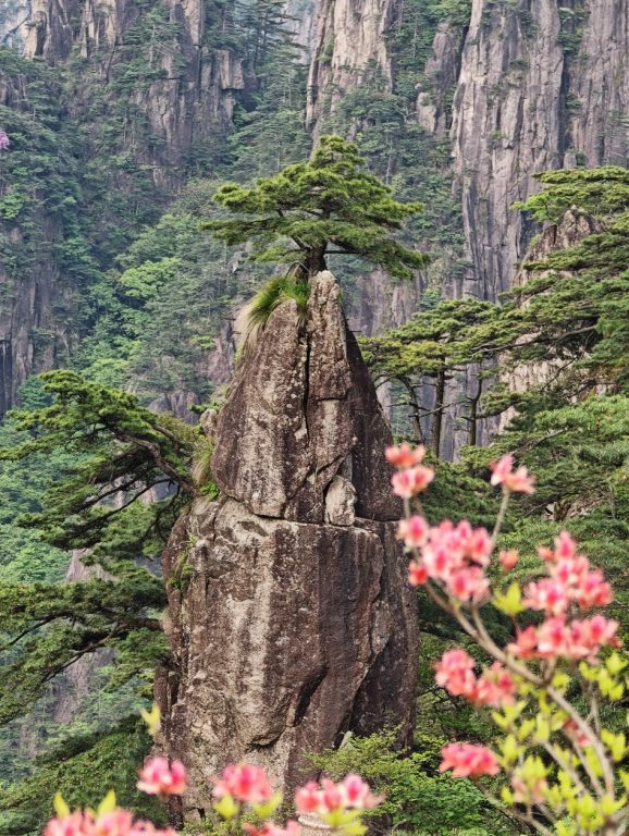 2026 黃山旅遊紀實|兩天一夜詳細行程——北大門纜車上、始信峰、猴子觀海、丹霞峰日出、光明頂、迎客松 2026 黃山旅遊紀實|兩天一夜詳細行程——北大門纜車上、始信峰、猴子觀海、丹霞峰日出、光明頂、迎客松 @去旅行新聞網