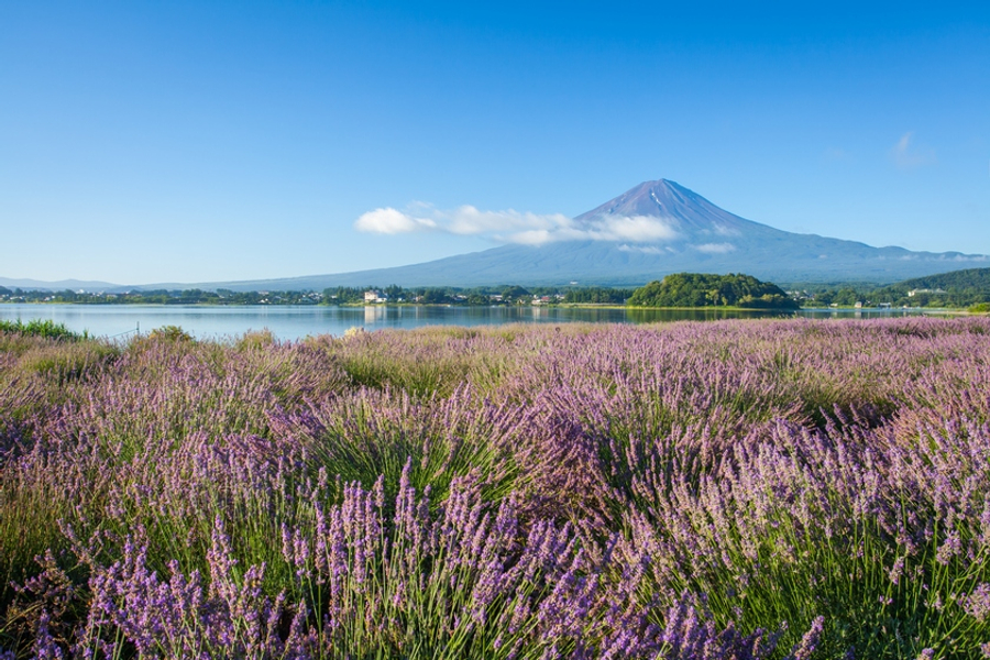 東京富士山5日輕旅行|忍野八海×全景纜車×合掌村×御殿場OUTLETS×迪士尼 @去旅行新聞網