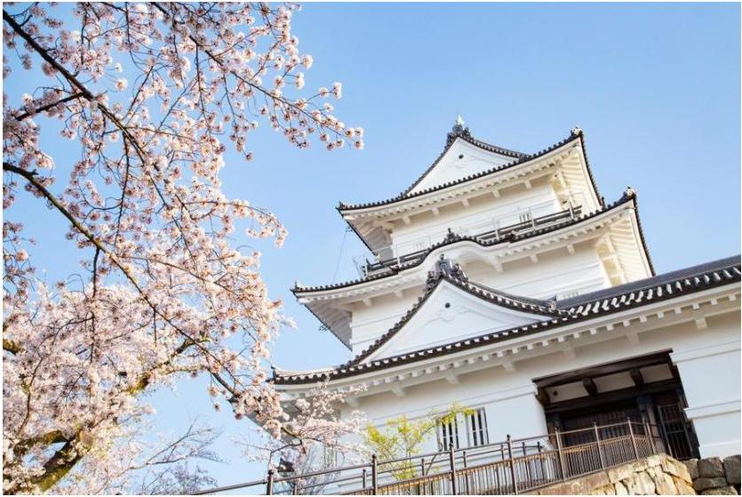 東京迪士尼六日|富士山三景+麻布台之丘+敘敘苑燒肉 TWD 36,900起 @去旅行新聞網