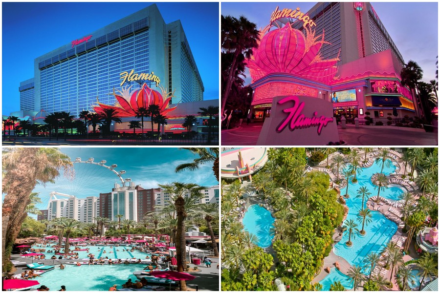 hotel vg 18 flamingo