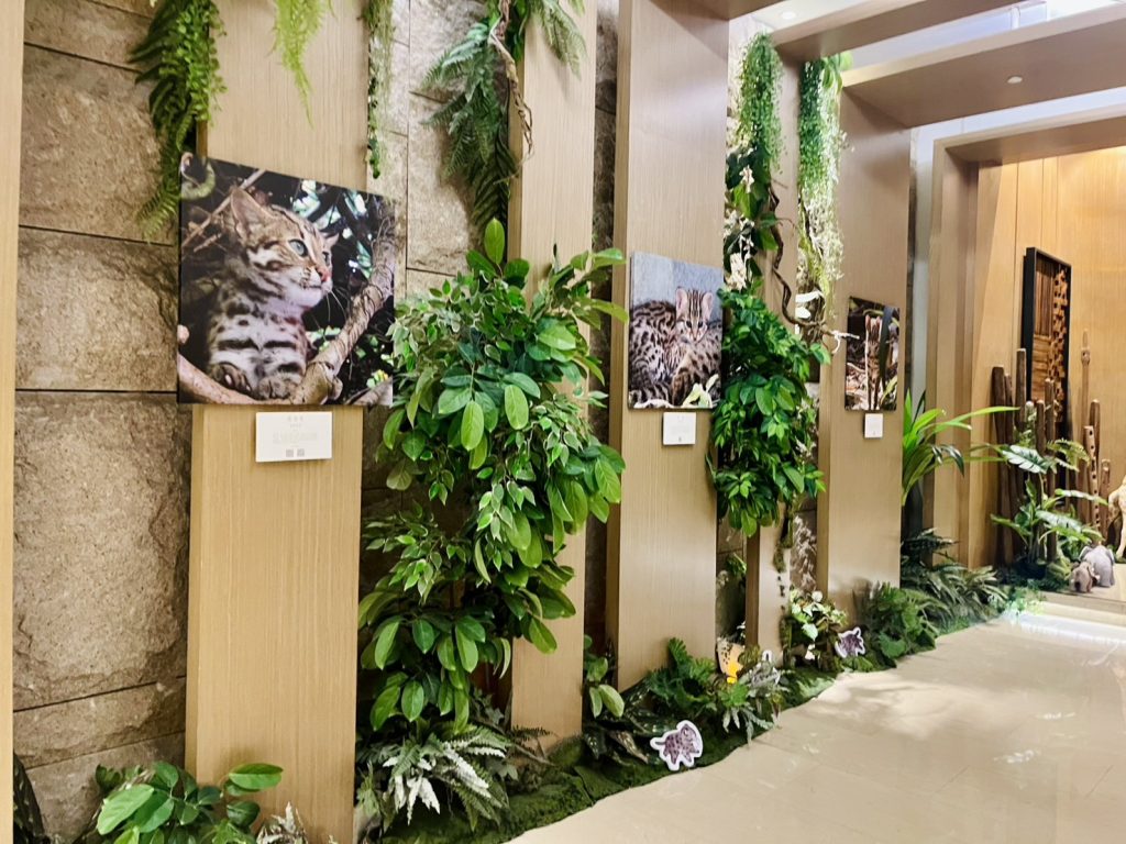 響應世界環境日!日月潭雲品攜手林保署、生多所 首推「里山森林特展」友善農作入菜守護台灣僅存石虎 @去旅行新聞網