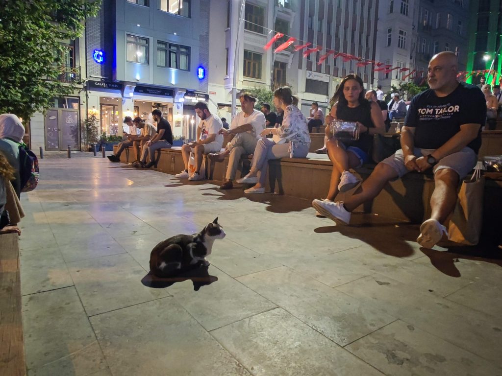 加拉達石塔夜間街區｜台階上休憩的人群與街貓