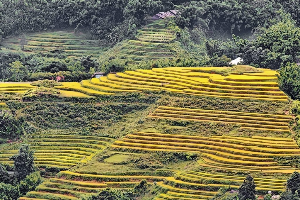 2026越南沙壩旅遊攻略|番西邦峰纜車、梯田、少數民族文化全指南 @Tournews