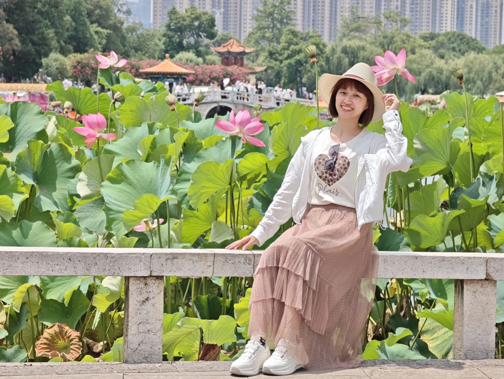昆明大觀公園荷花池盛開美景