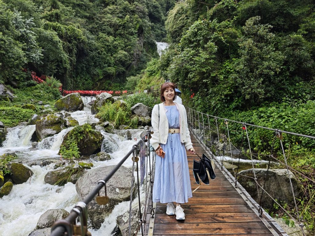 蒼山感通纜車山上景色|雲霧裡的綠意與遼闊