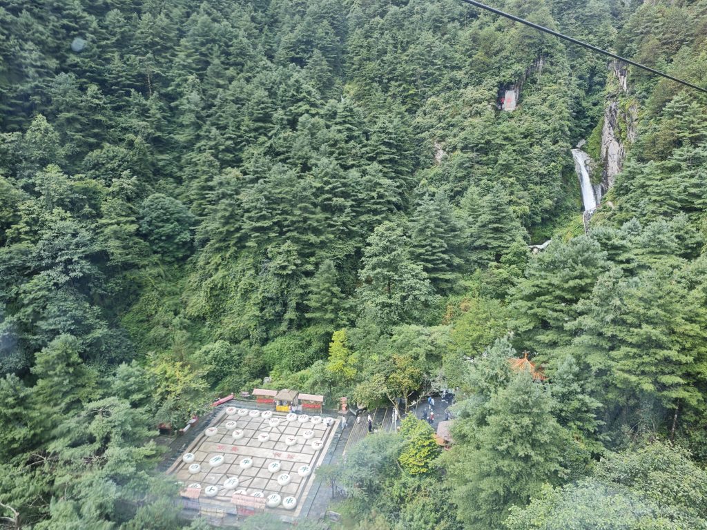 IMG 20260719 111028 1784473400