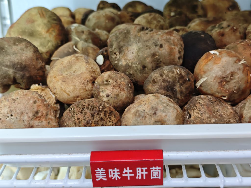 昆明野生菌火鍋食記｜滇菌臻彩雲南總店，菌菇火鍋+干巴菌炒飯+菌菇煎包，一鍋鮮掉眉毛 @去旅行新聞網