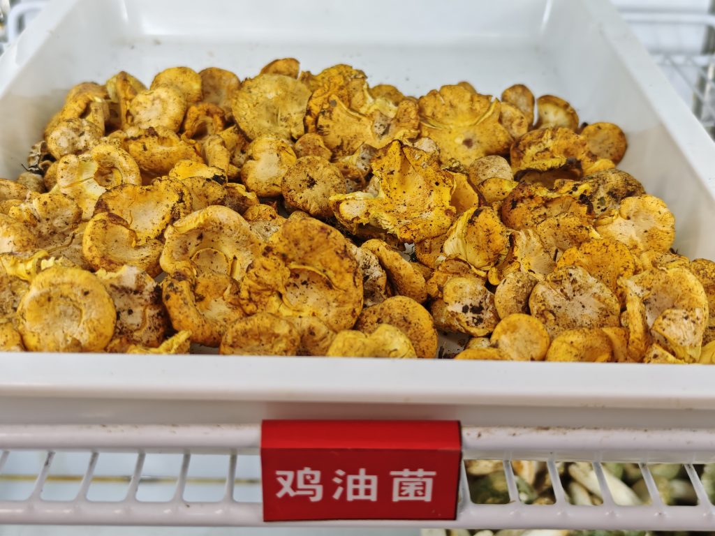 昆明野生菌火鍋食記｜滇菌臻彩雲南總店，菌菇火鍋+干巴菌炒飯+菌菇煎包，一鍋鮮掉眉毛 @去旅行新聞網