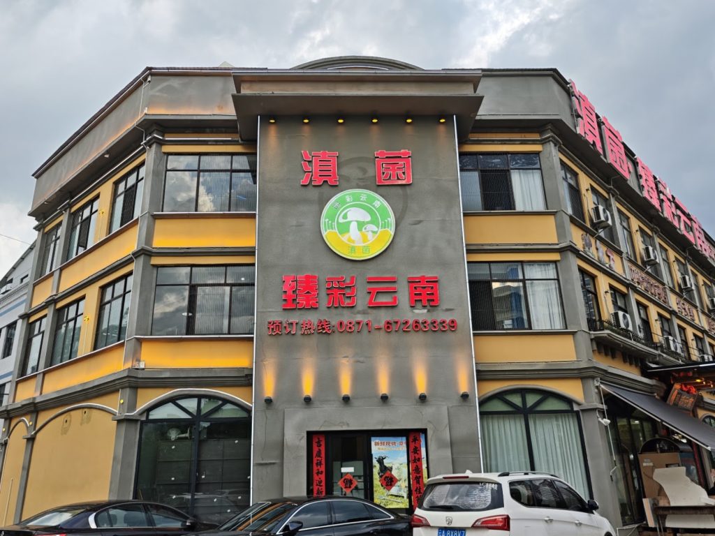 昆明野生菌火鍋食記｜滇菌臻彩雲南總店，菌菇火鍋+干巴菌炒飯+菌菇煎包，一鍋鮮掉眉毛 @去旅行新聞網