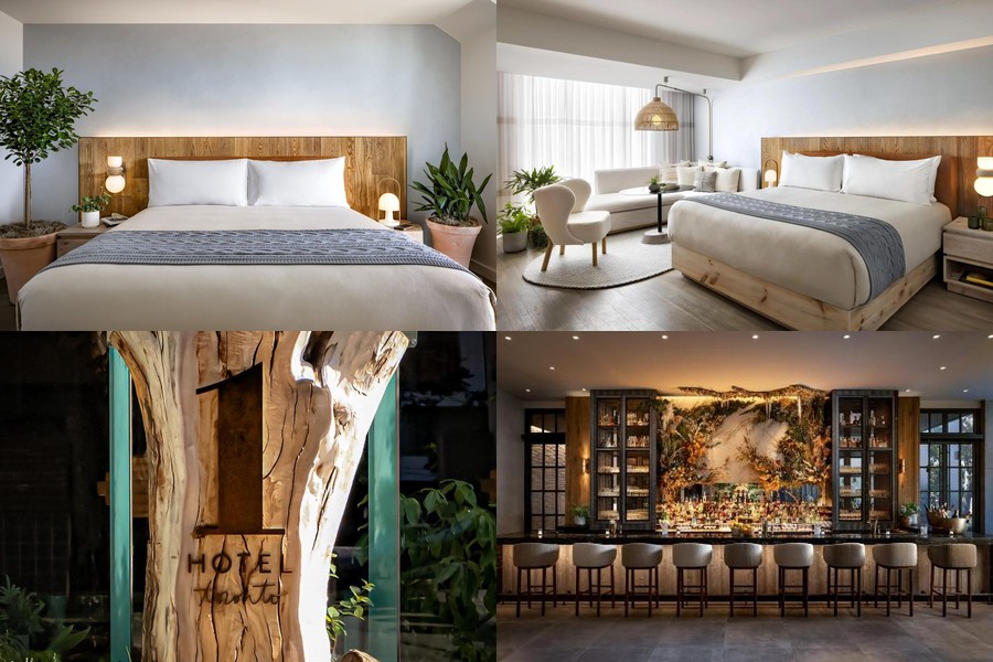 Toronto Accommodation Guide: Best Hotels &amp; Where to Stay @Tournews