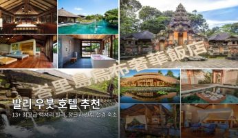 발리 우붓 호텔 추천》13+ 최고급 럭셔리 빌라
