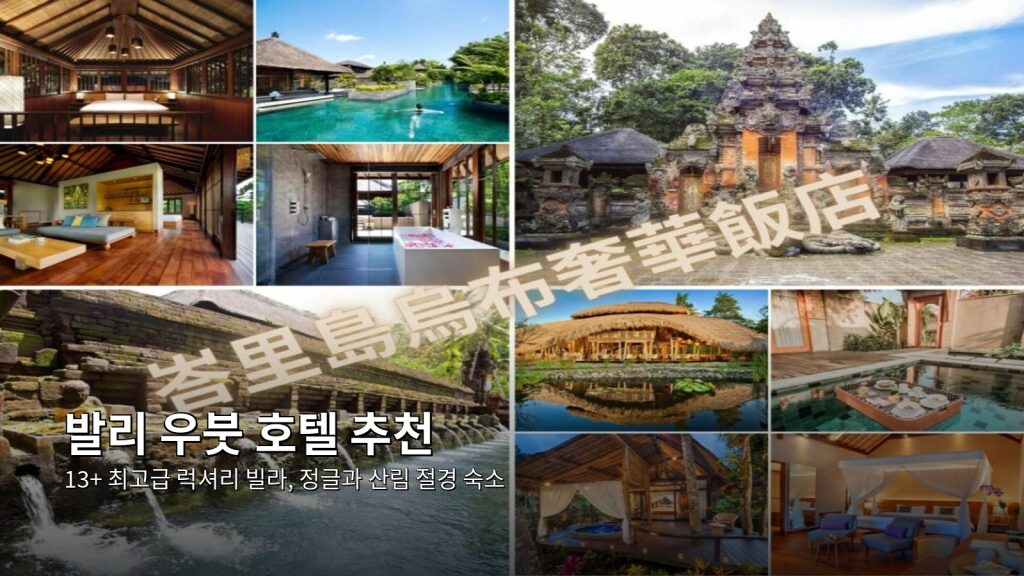 발리 우붓 호텔 추천》13+ 최고급 럭셔리 빌라, 정글과 산림 절경 숙소 및 인피니티 풀! @Tournews