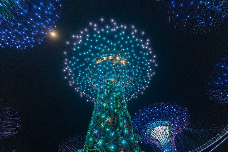 新加坡濱海灣花園超級樹燈光秀