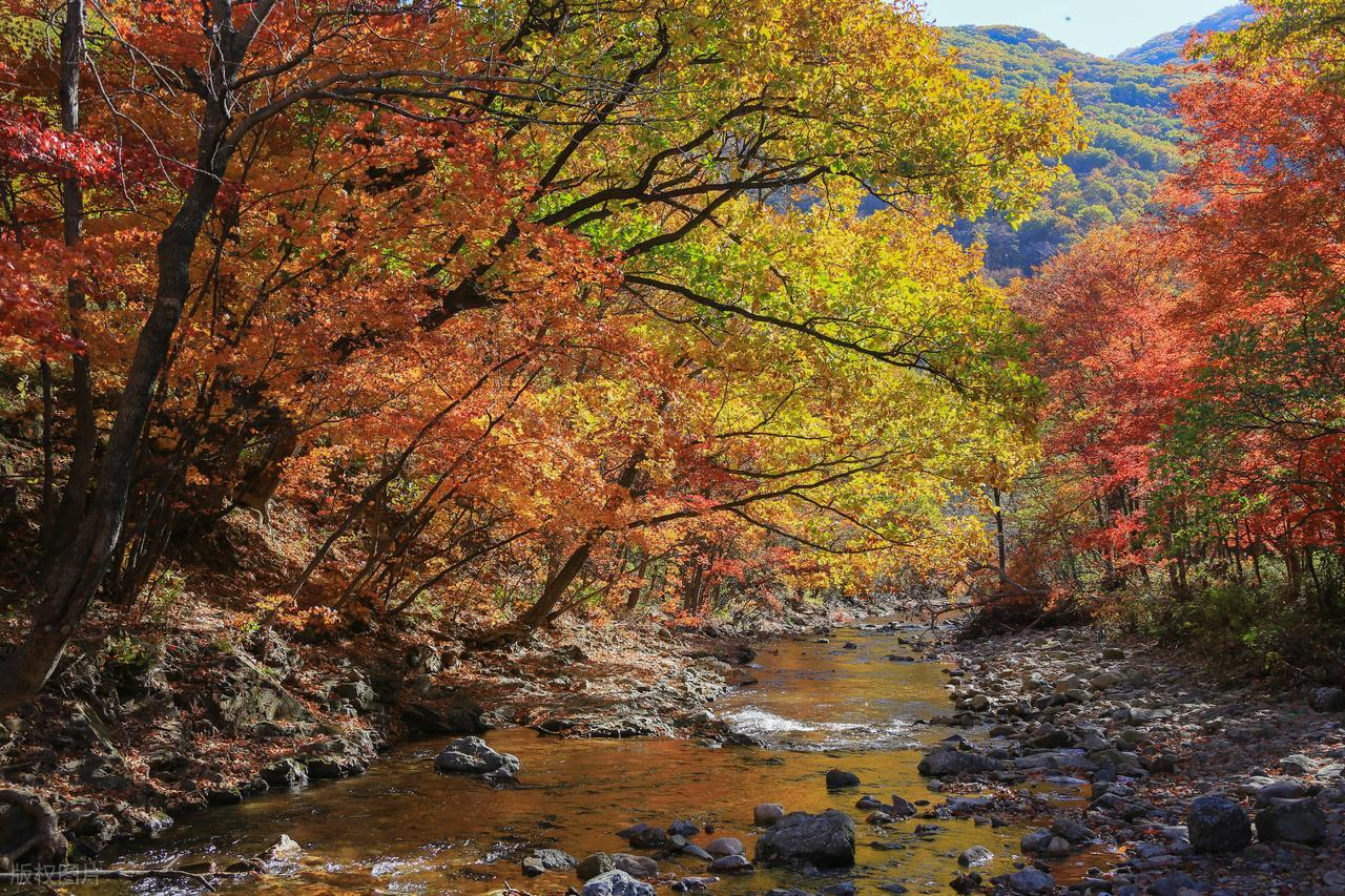 遼寧本溪楓葉之路:中華楓葉之路自駕攻略,關門山+老邊溝3天賞楓全指南 @Tournews