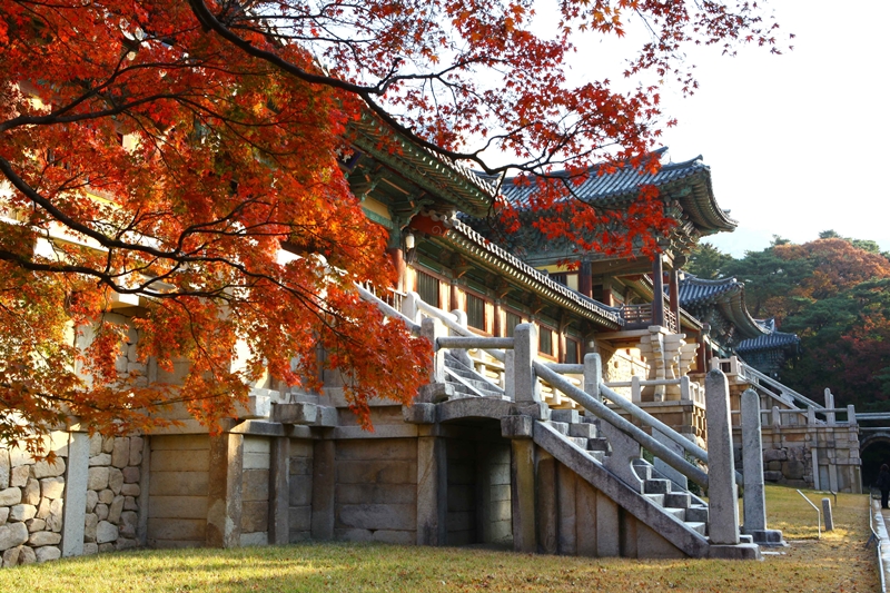 慶州佛國寺秋季紅葉青雲橋